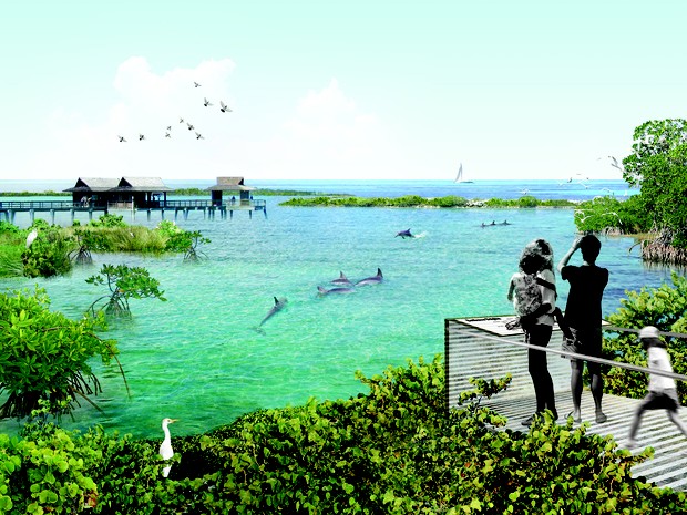 Aquário promete transferir golfinhos para ‘santuário’ com água do mar