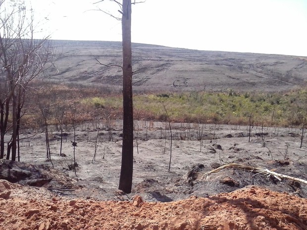 Usina leva multas de mais de R$ 1,7 milhão por queimadas em fazendas