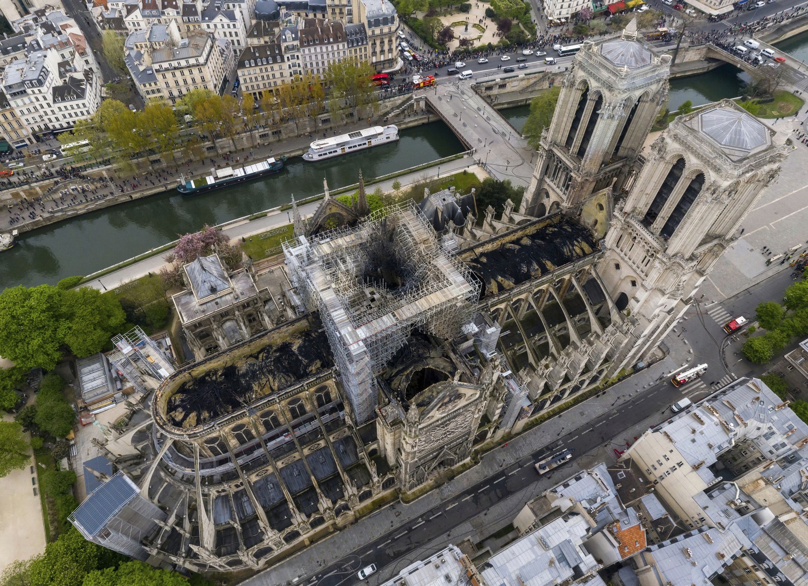 Abelhas da catedral de Notre-Dame escaparam de incêndio