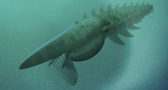 Descoberto animal marinho que viveu há 480 mi de anos