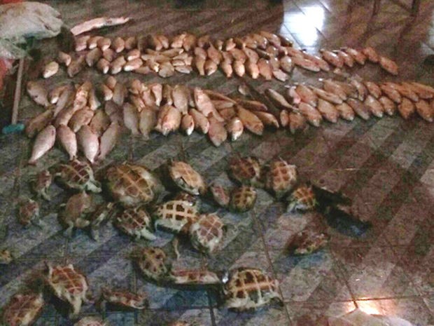 Três pescadores são presos com 135 peixes e 30 tartarugas em MT