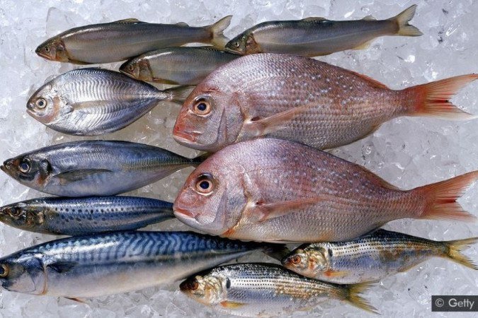 Conheça medidas para assegurar a qualidade na produção de peixes